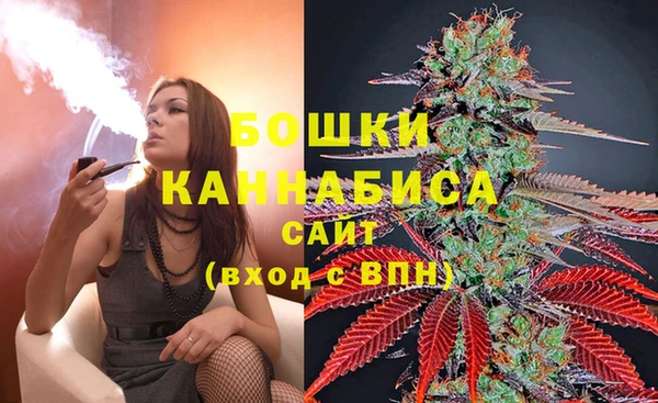 бутират Белокуриха