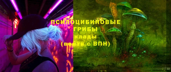 бутират Белокуриха
