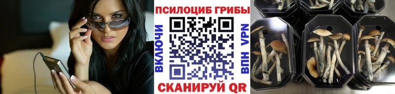 цены наркотик Тогучин OMG вход Псилоцибиновые грибы прущие грибы